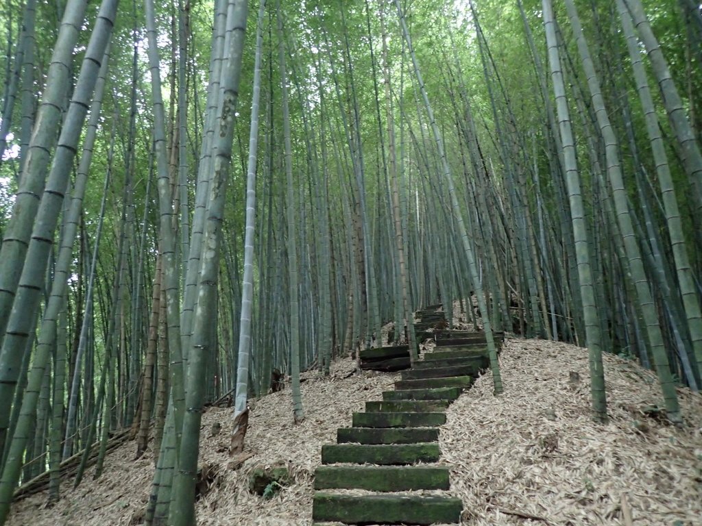 PA231752.JPG - 石壁山  嘉南雲峰步道