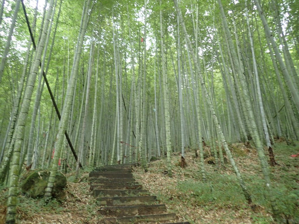 PA231670.JPG - 石壁山  嘉南雲峰步道