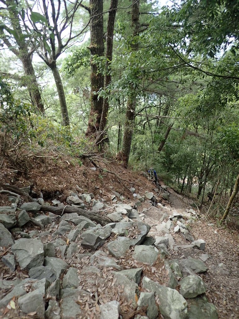 P5012318.JPG - 谷關七雄之  波津加山