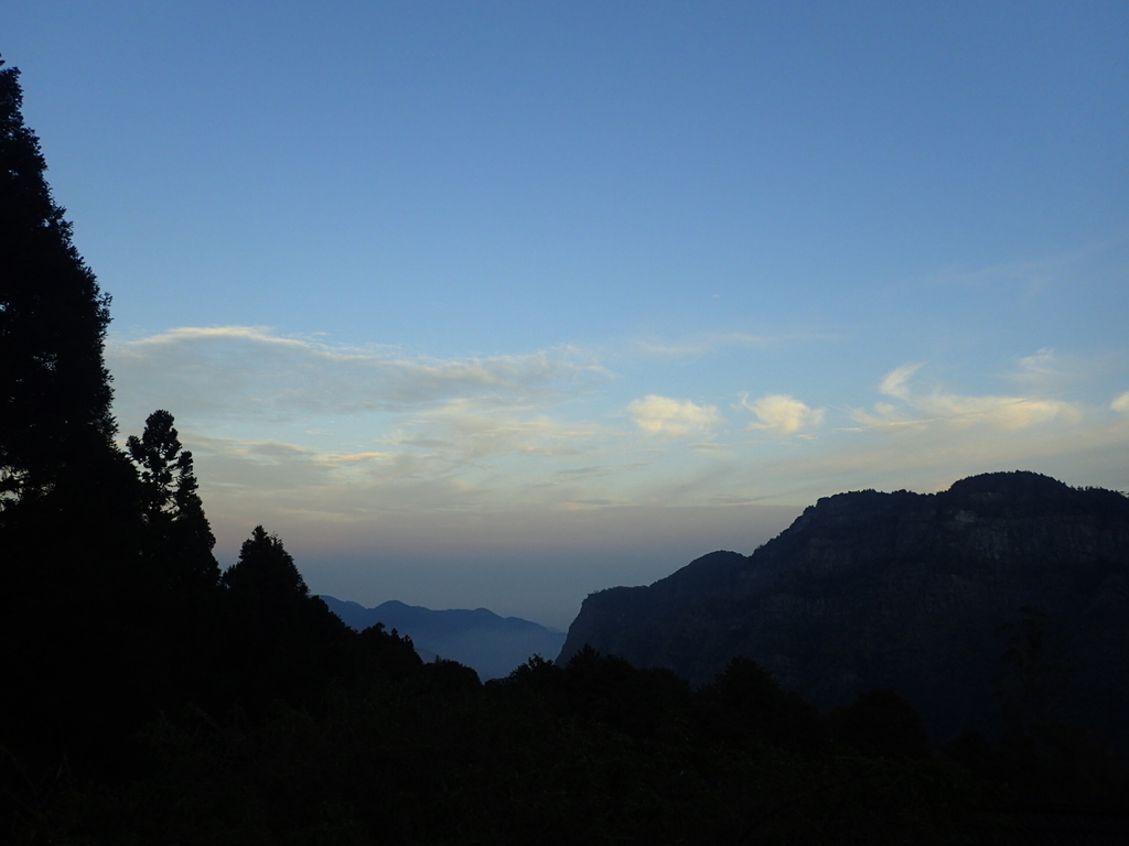 P3268012.JPG - 阿里山  沼平公園  賞櫻