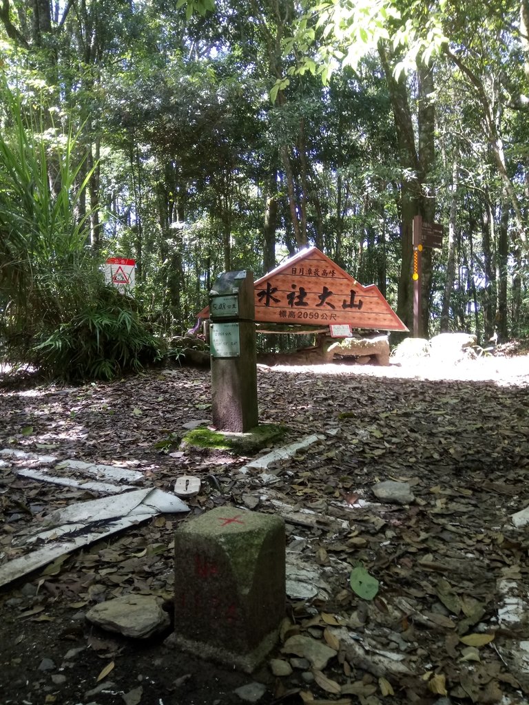 DSC_3827.JPG - 魚池  水社大山