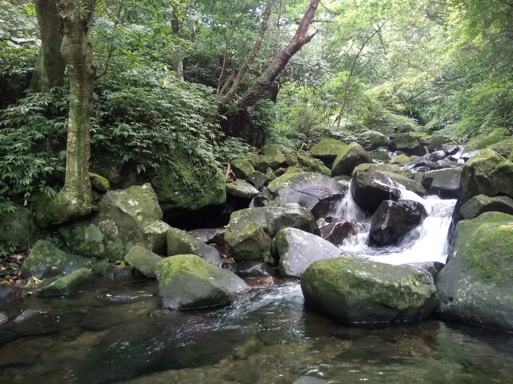 DSC_0733.JPG - 三芝  大屯溪古道