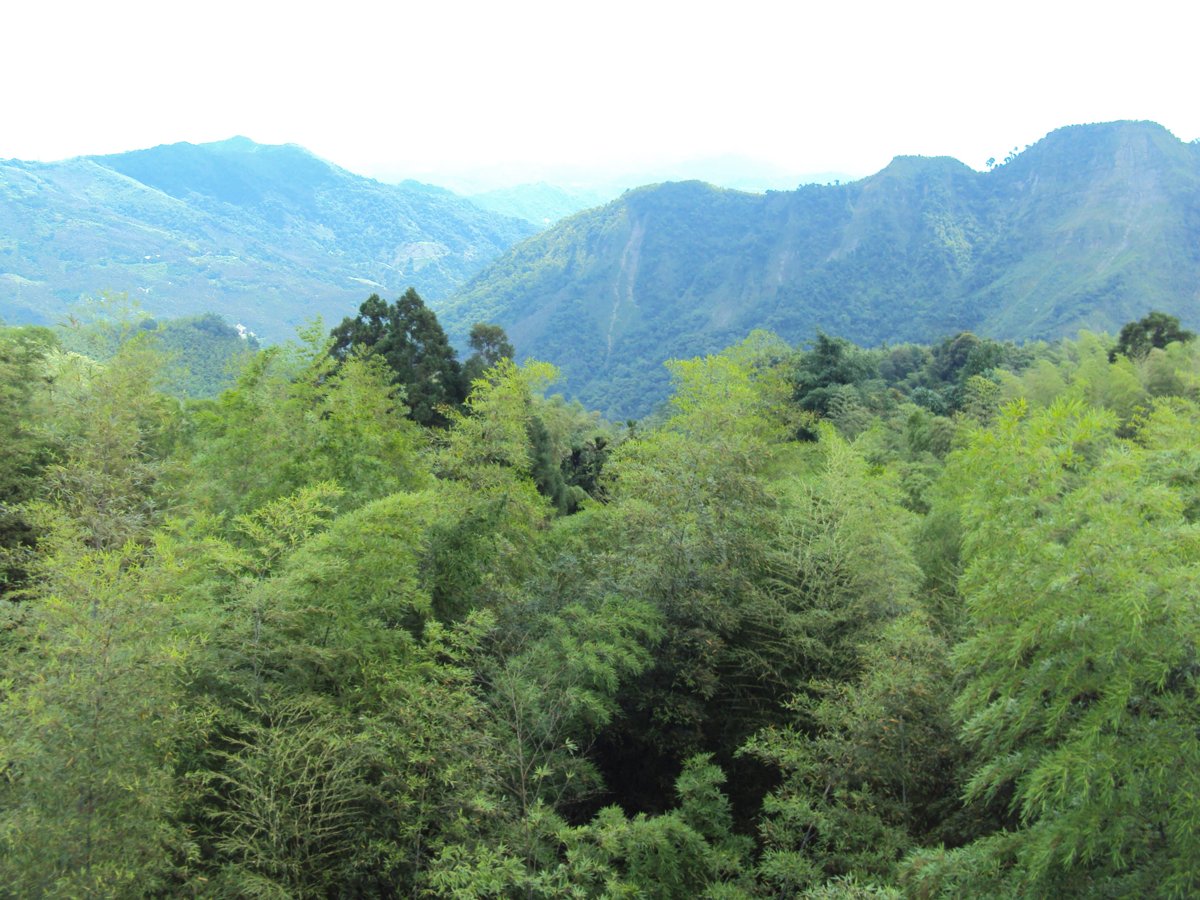 DSC08066.JPG - 竹山  大鞍  觀竹海樓