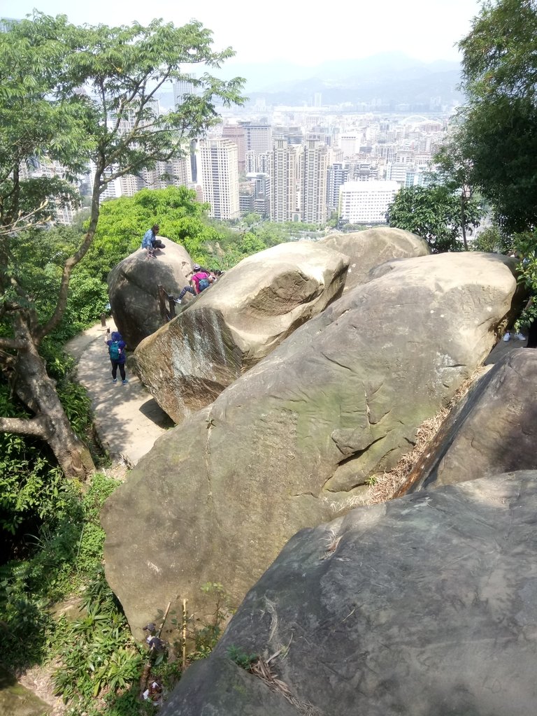 DSC_0597.JPG - 夏日  小登象山