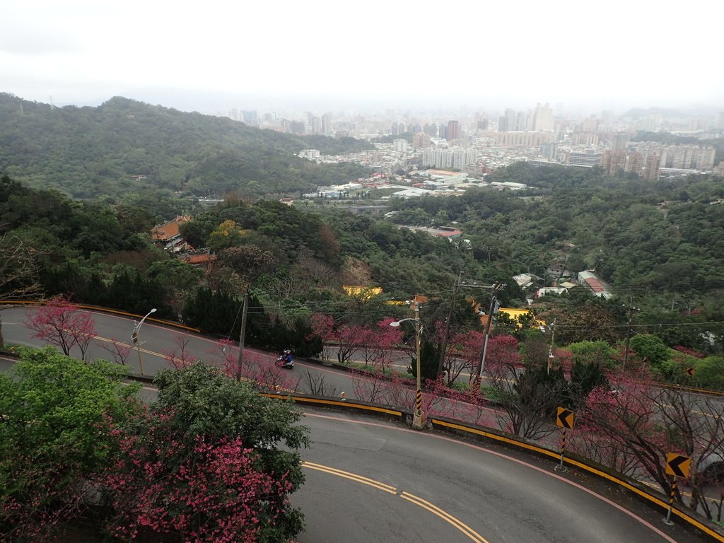 P2178166.JPG - 中和  南勢角山  (烘爐地)