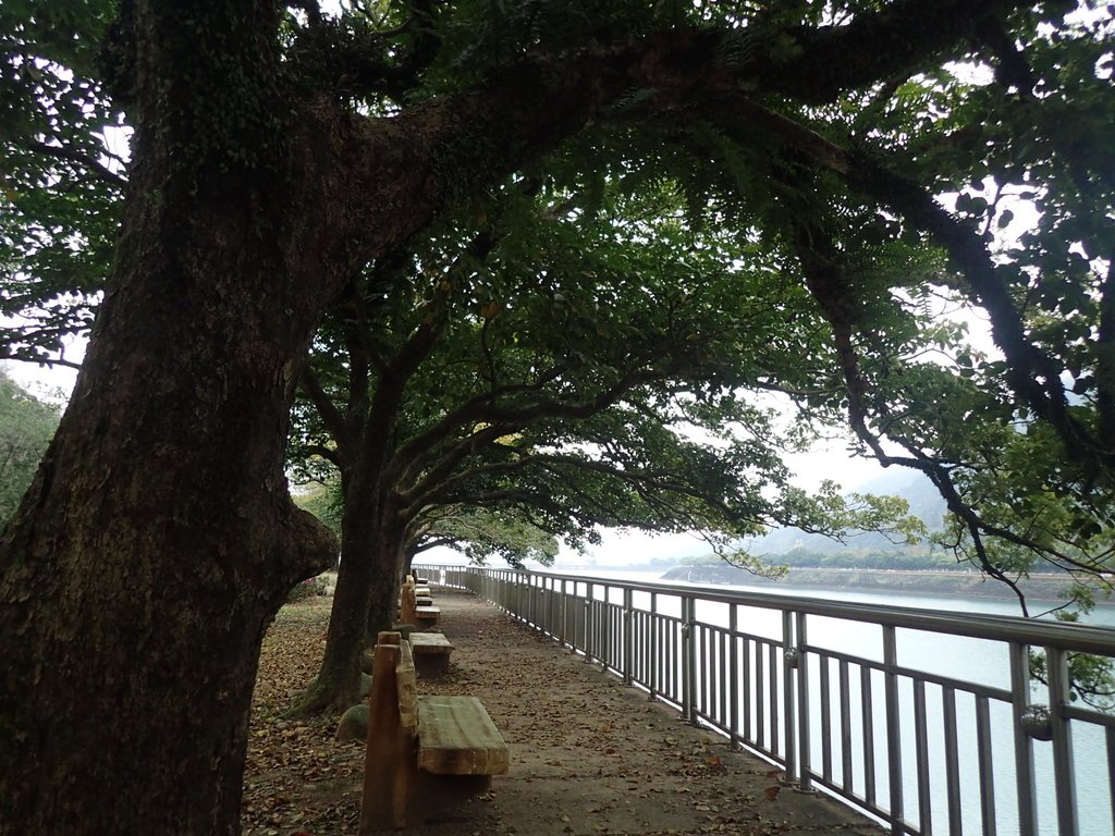 P2107658.JPG - 大溪  石門水庫  後池周遊