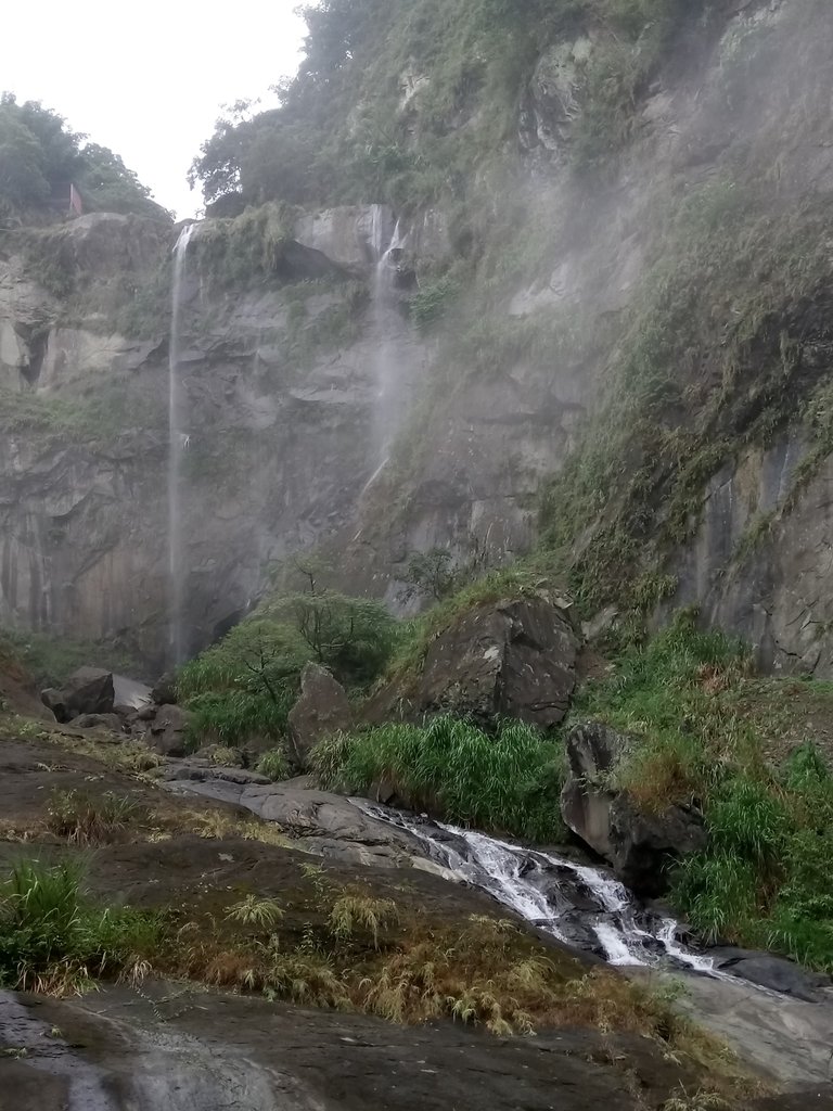 DSC_1170.JPG - 草嶺  蓬萊瀑布步道