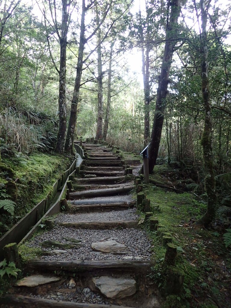 PB265506.JPG - 太平山  翠峰湖環山步道  02