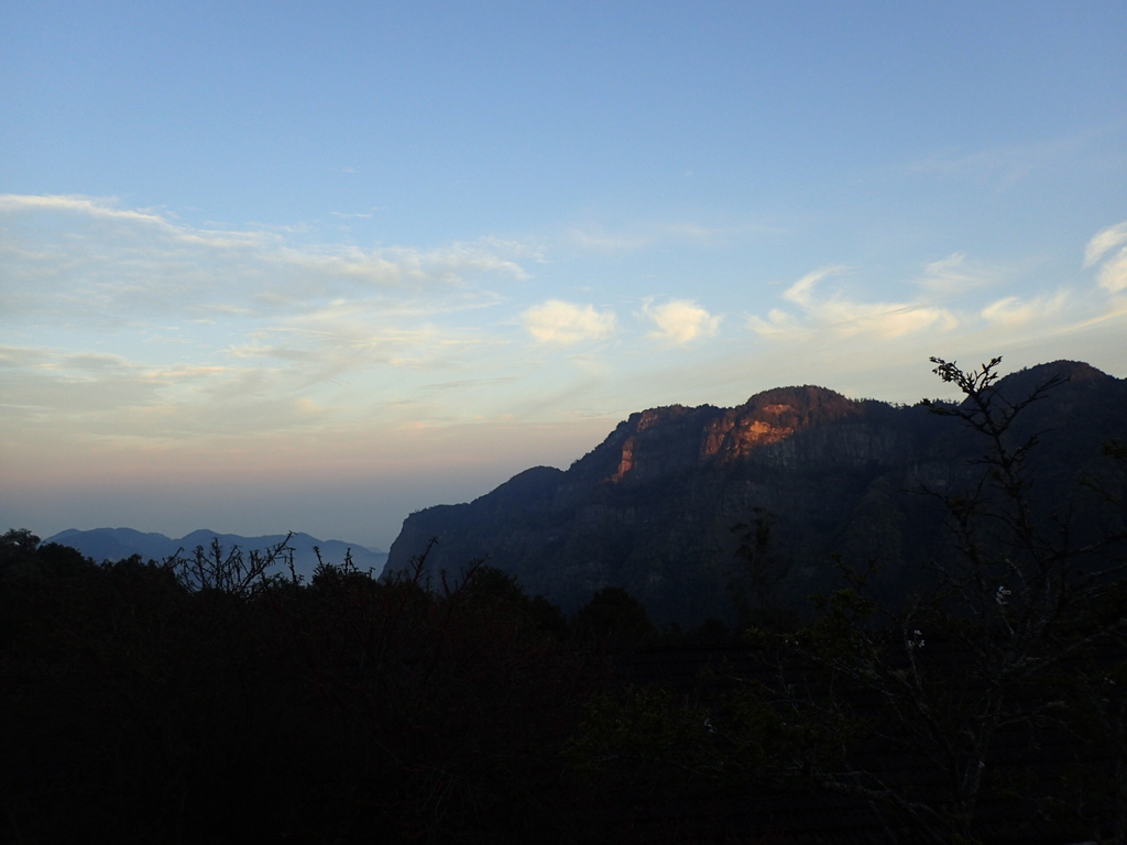 P3268017.JPG - 阿里山  沼平公園  賞櫻