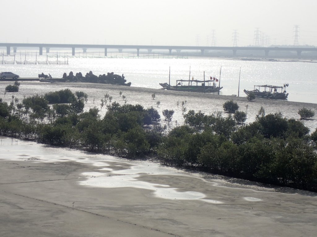 P1193851.JPG - 龍井  麗水漁港堤岸風情