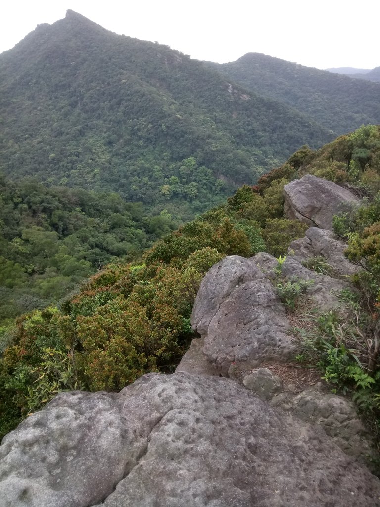 DSC_7027.JPG - 汐止  金面山(金明山)  稜線步道