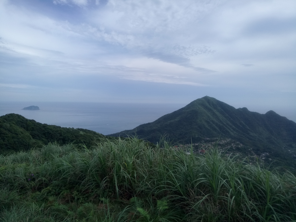 DSC_3374.JPG - 瑞芳  小金瓜山露頭