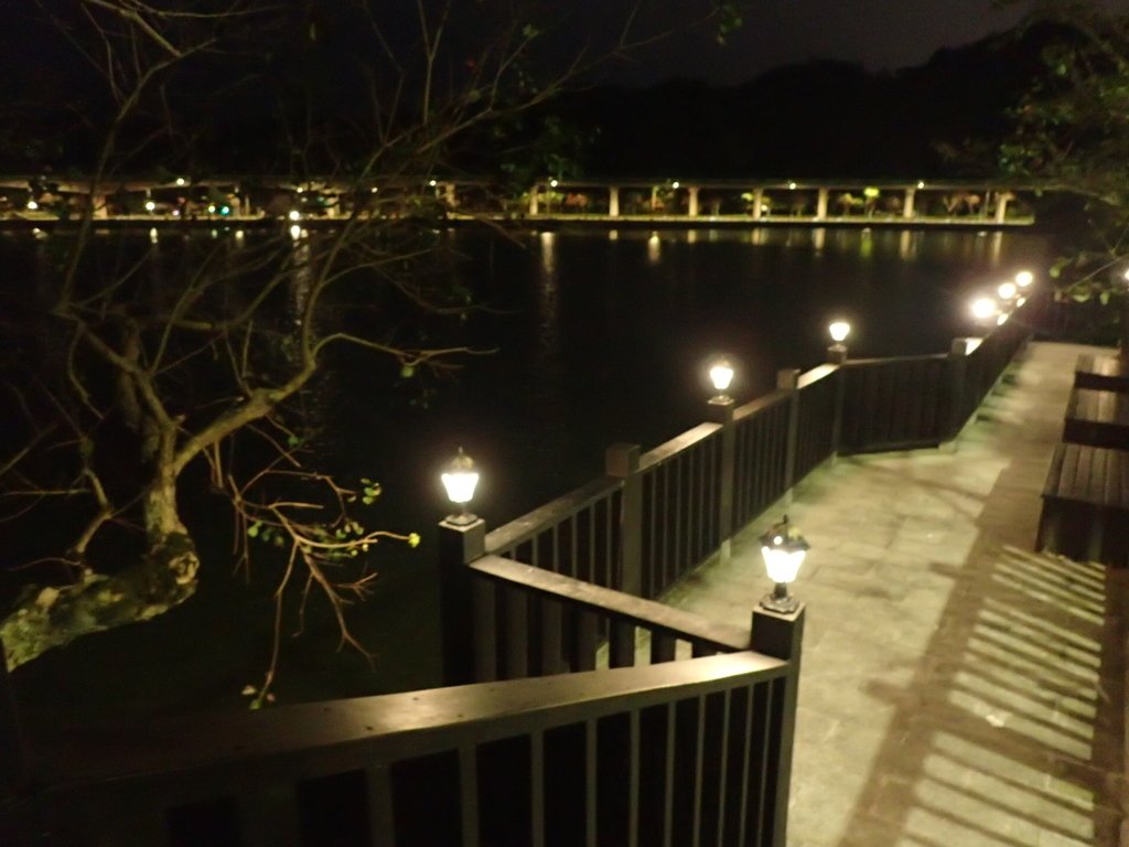 P3116968.JPG - 內湖  大湖公園之夜色