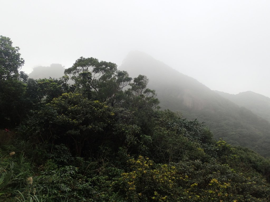 P2145420.JPG - 秀崎山  瑞芳山  龍潭山