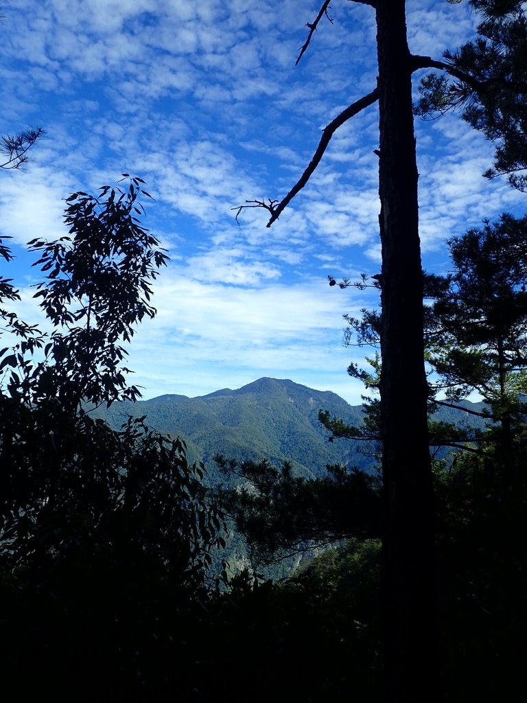 P6054039.JPG - 谷關七雄之  馬崙山  (上)