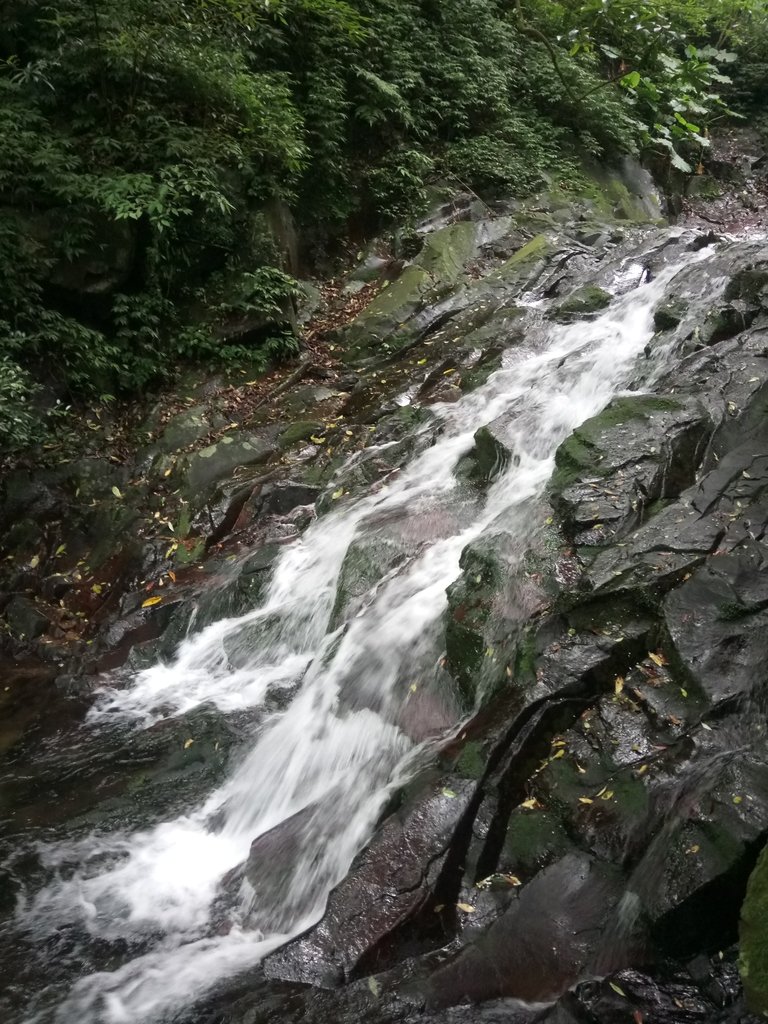 DSC_0734.JPG - 三芝  大屯溪古道