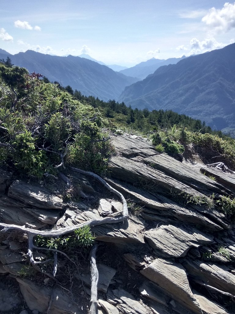 DSC_5331.JPG - 合歡山  北峰之美  (上)