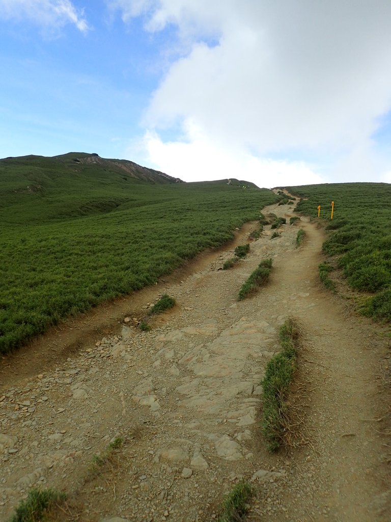 P7245978.JPG - 合歡山  北峰之美  (中)