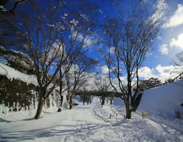 IMG_20160127_061923_821.JPG - 函館  五稜郭雪景