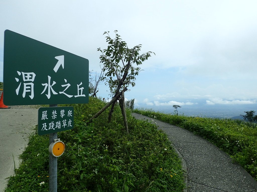 P9127770.JPG - 礁溪  櫻花橋  渭水之丘