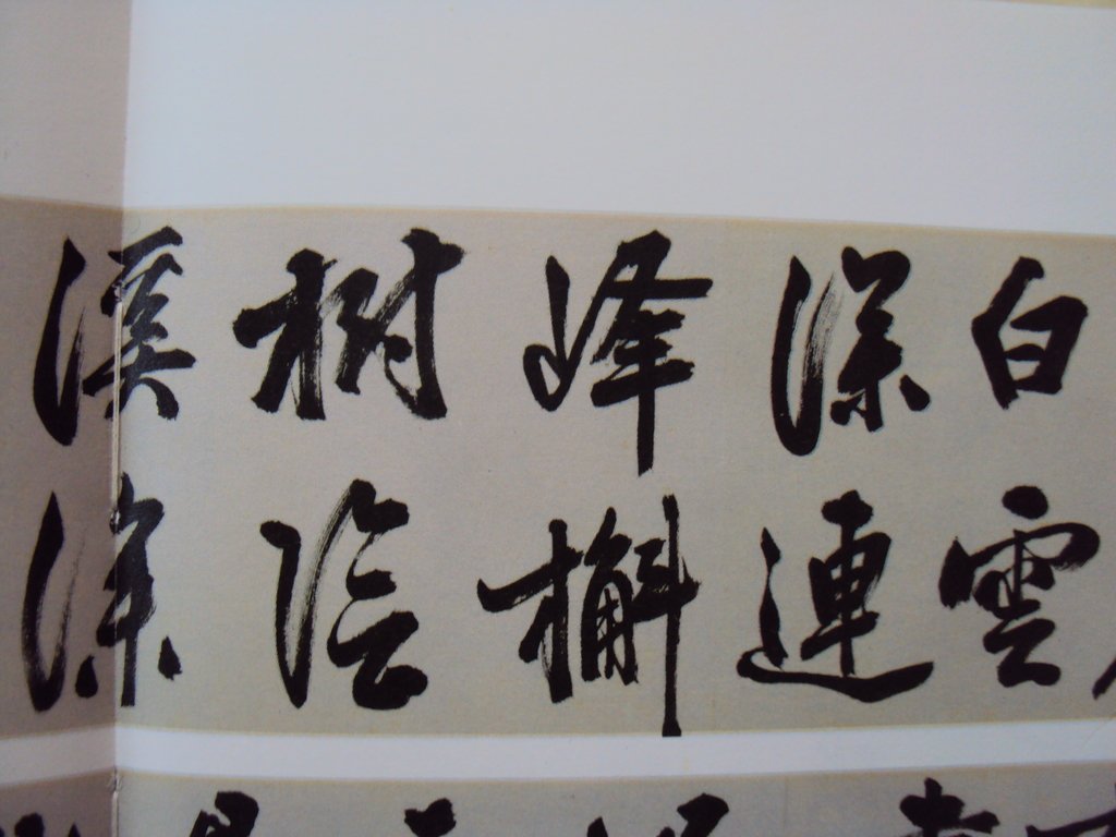 DSC00819.JPG - 王問  草書作品