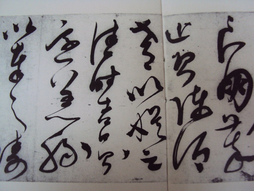 DSC00247.JPG - 陳淳的草書作品