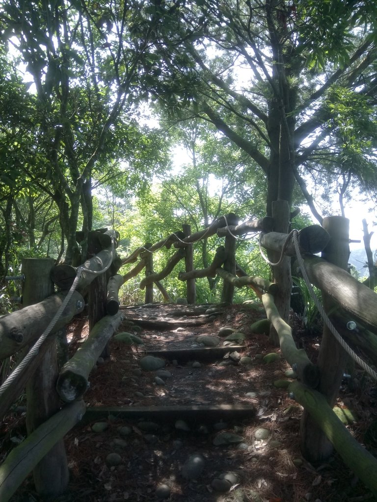 DSC_1257.JPG - 大坑四號步道  頭嵙山