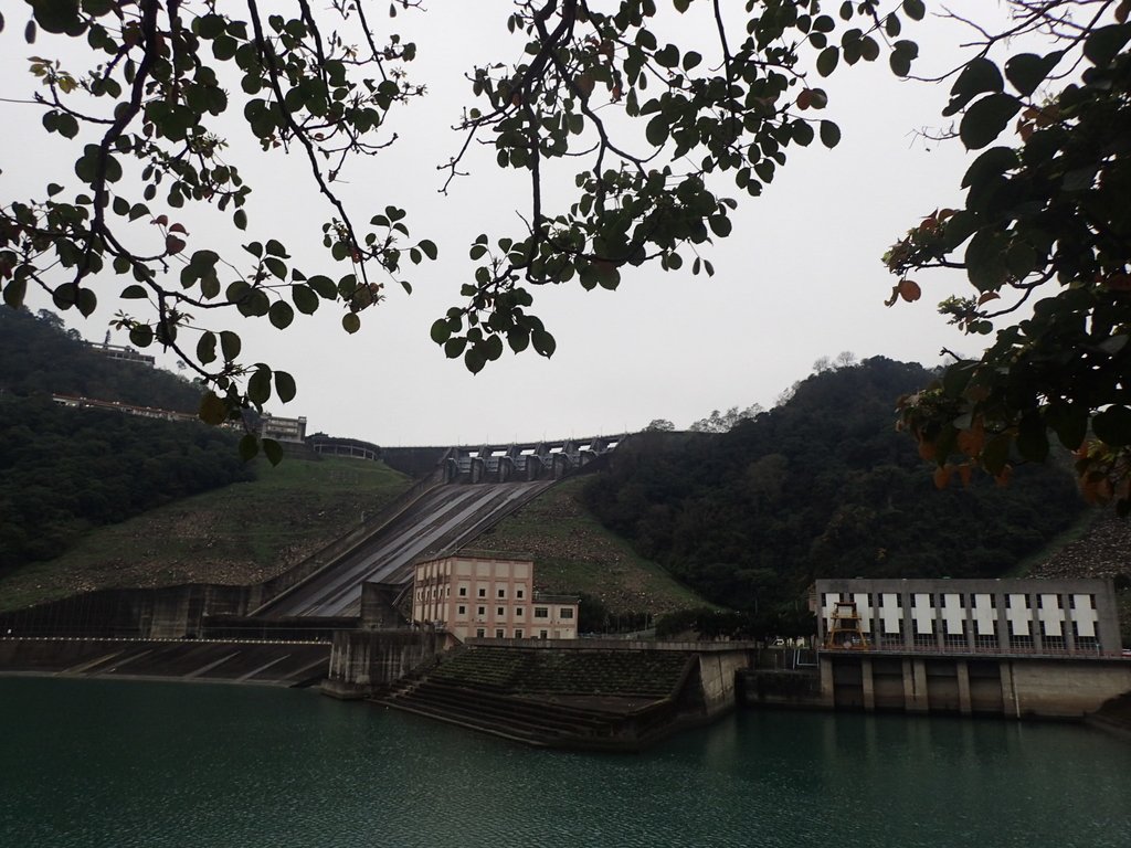 P2107661.JPG - 大溪  石門水庫  後池周遊