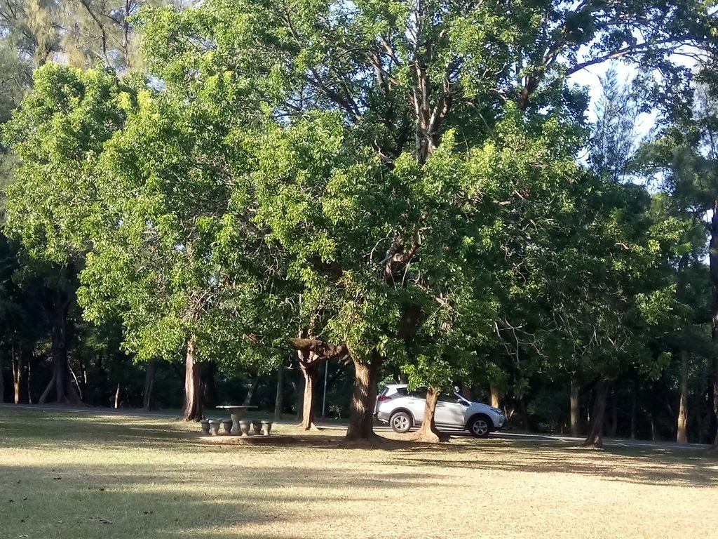 DSC_3270.JPG - 台中  東海大學校園巡禮