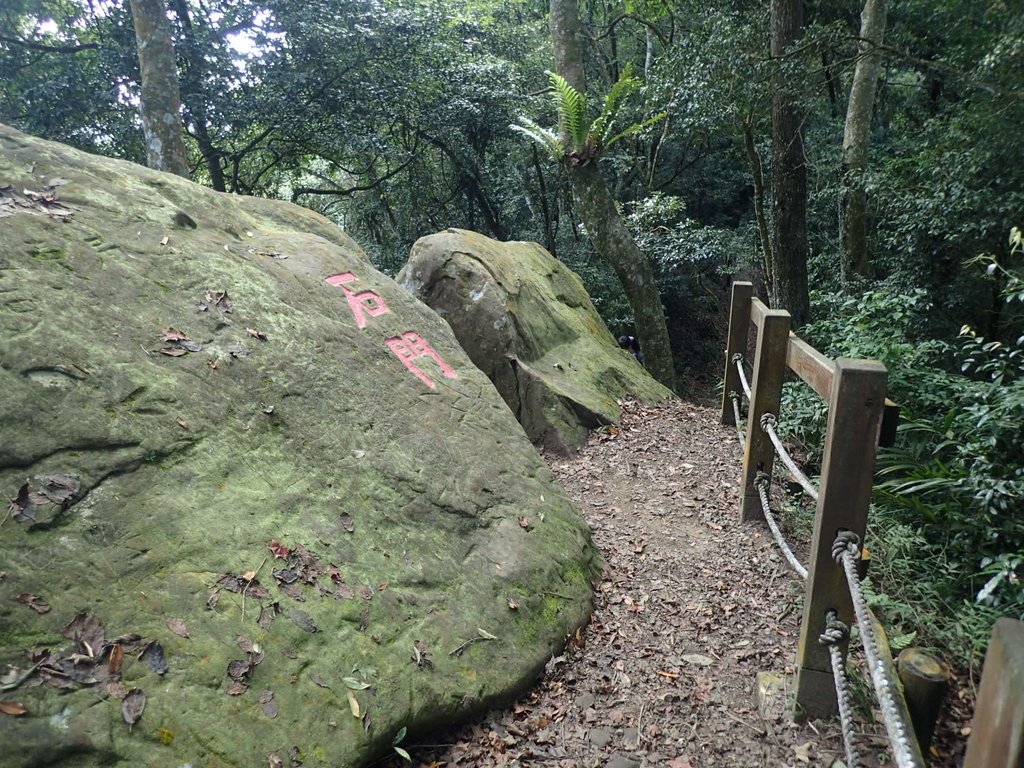 PA064404.JPG - 大湖  馬那邦山  (02)