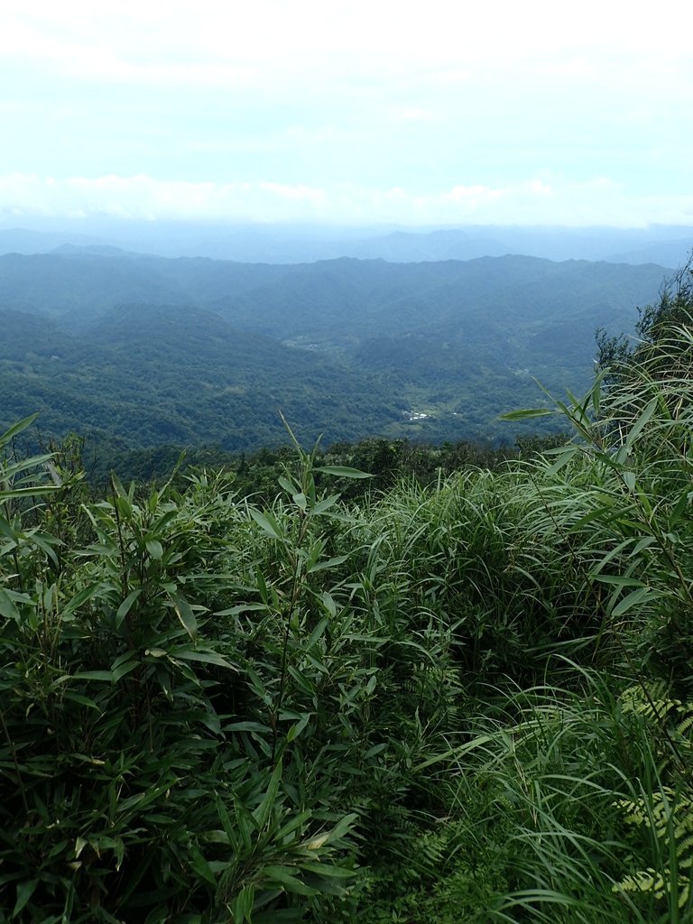 P7203846.JPG - 瑞芳  五分山登山步道