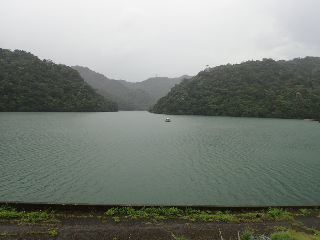 P8247015.JPG - 雨中漫遊  石門水庫