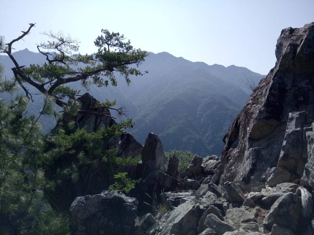 DSC_9924.JPG - 谷關  東卯山東南稜