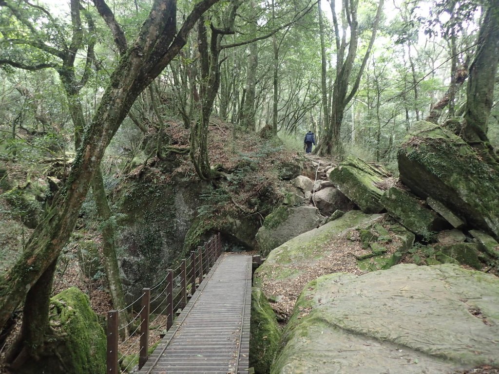 P2034943.JPG - 南庄  加里山