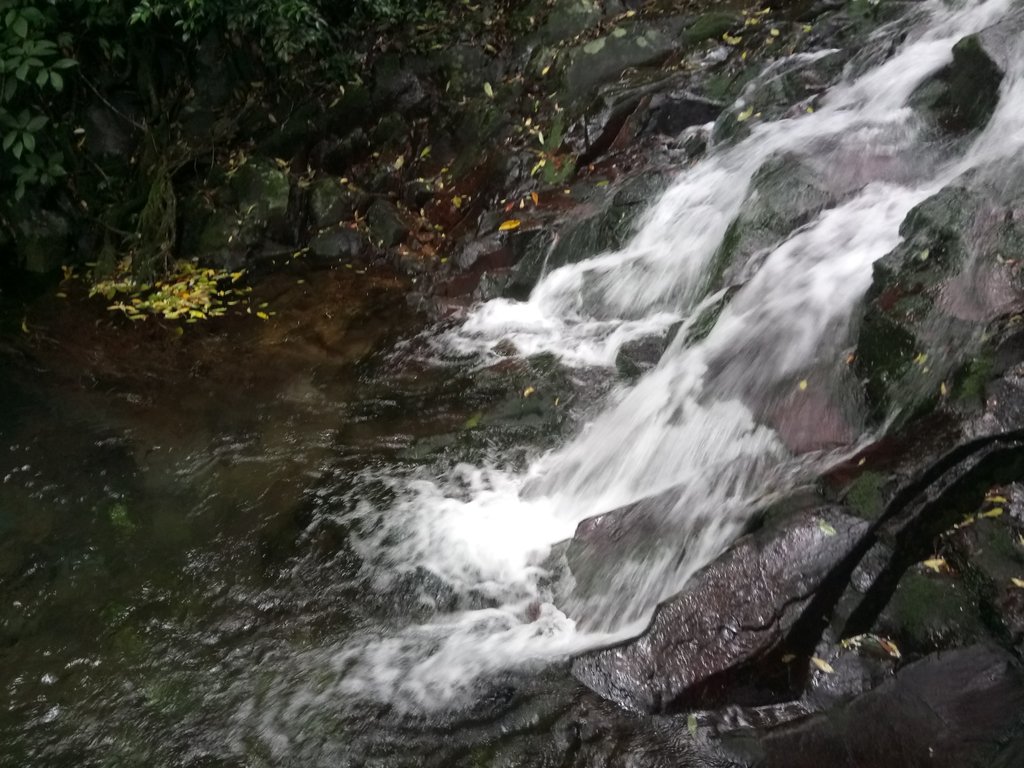 DSC_0735.JPG - 三芝  大屯溪古道