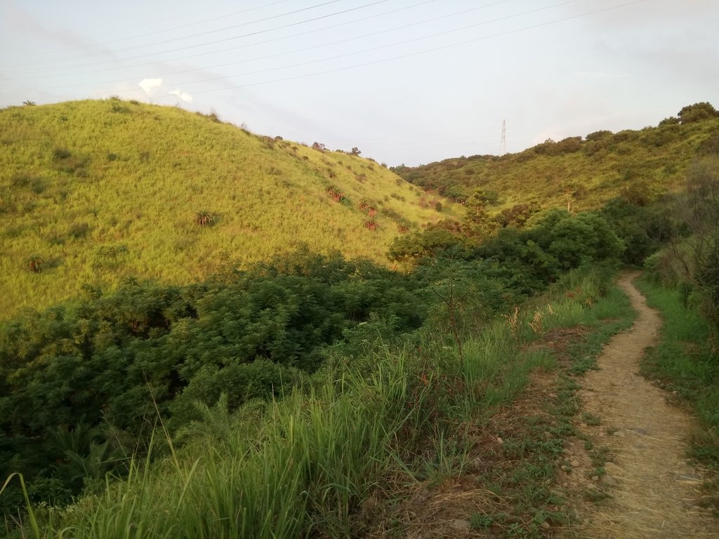 DSC_5853.JPG - 龍井  竹坑南寮登山步道