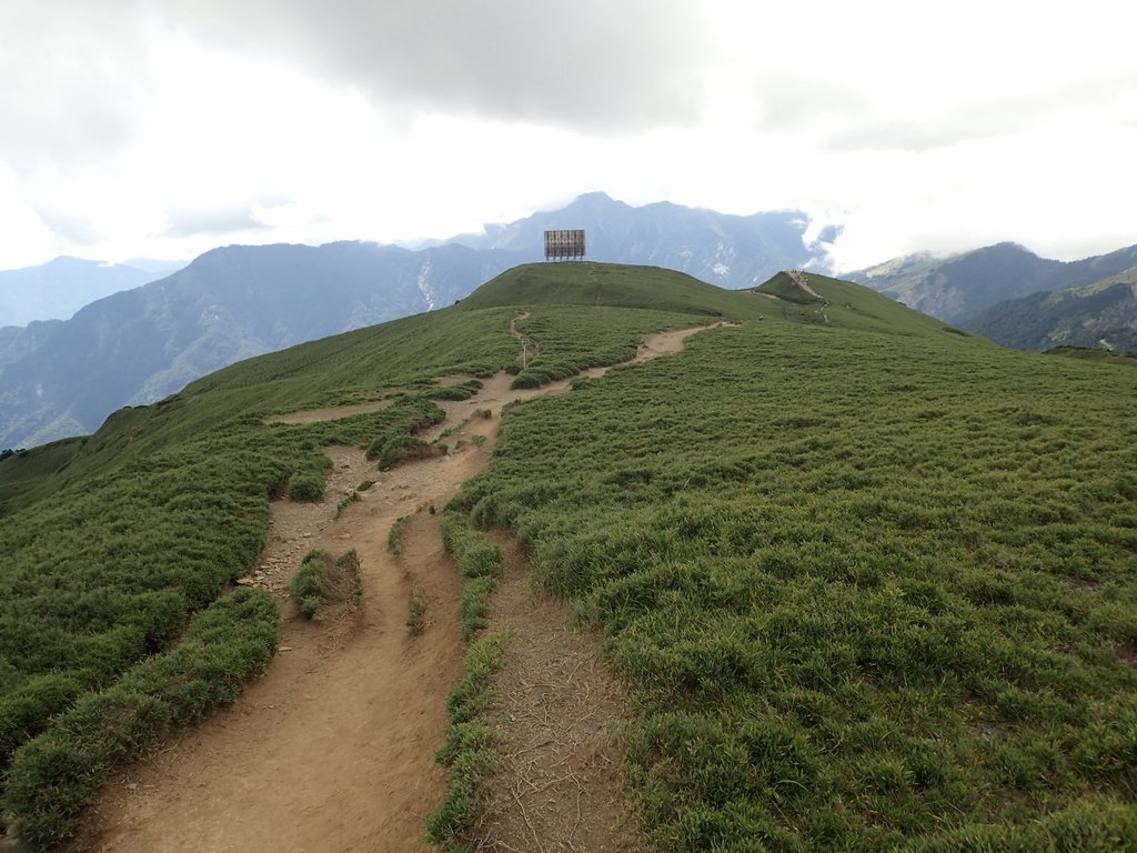 P7245986.JPG - 合歡山  北峰之美  (中)