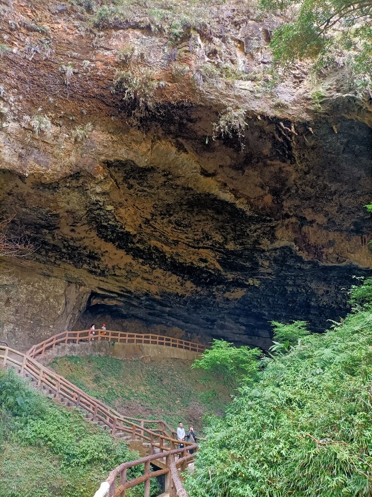 IMG20210205122353.jpg - 竹山  杉林溪森林遊樂園  路過