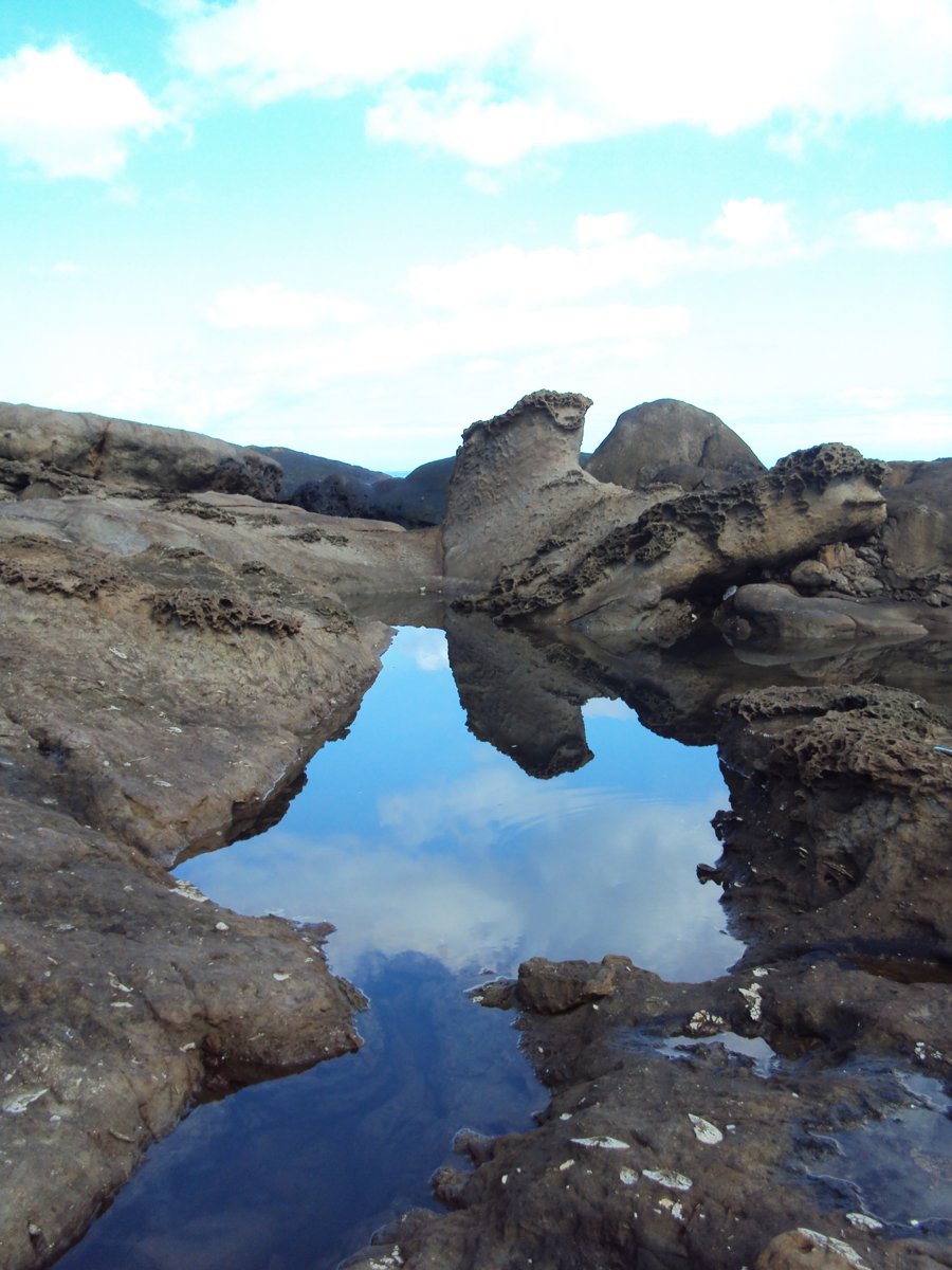 DSC06517.JPG - 瑞芳  水湳洞海岸之美