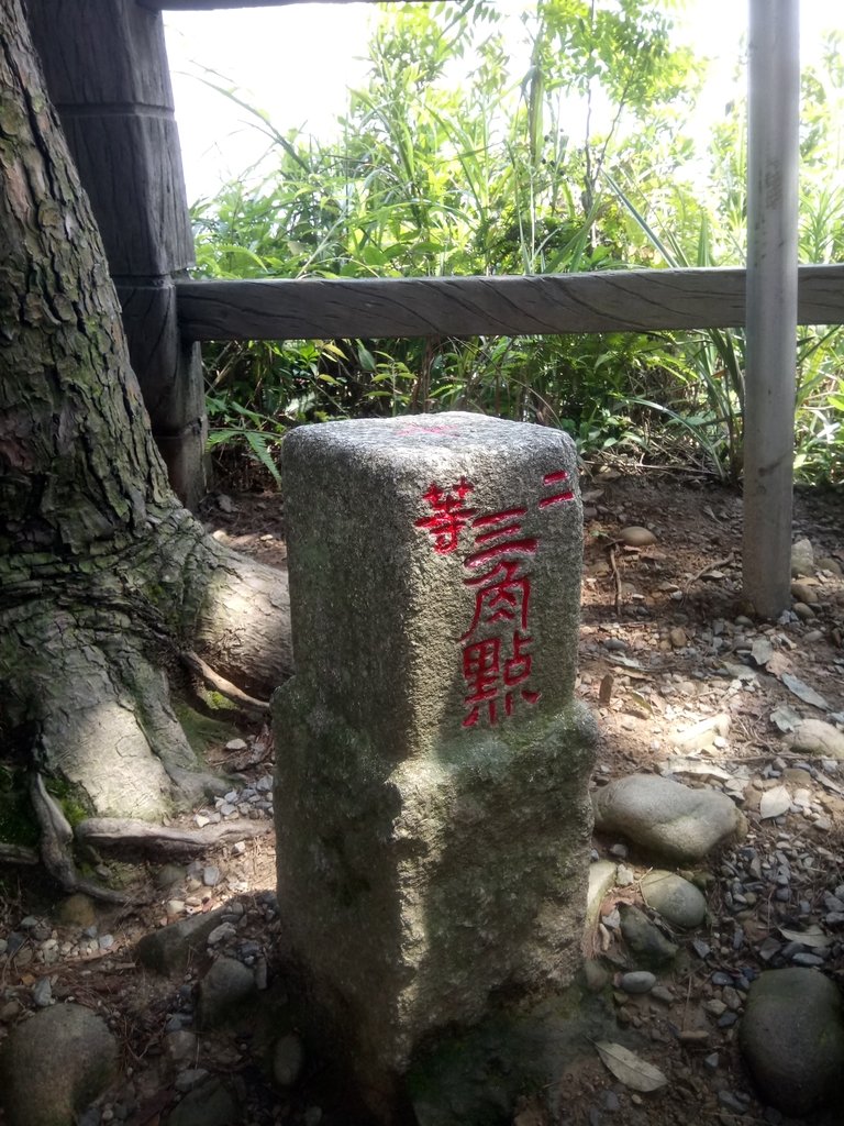 DSC_1268.JPG - 大坑四號步道  頭嵙山