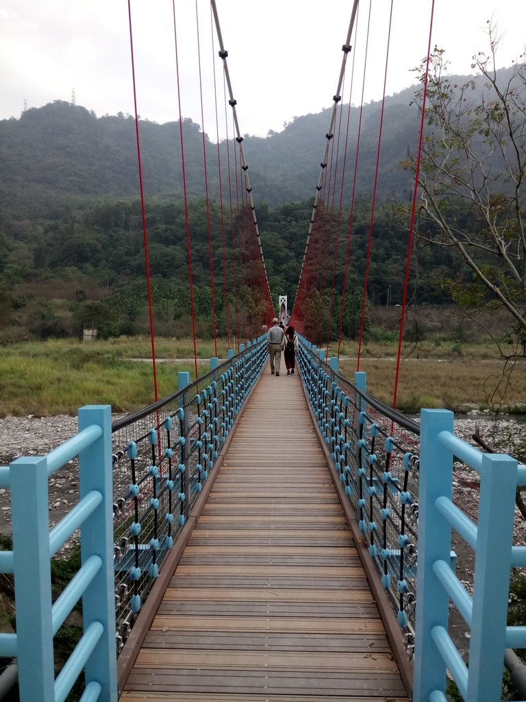 DSC_8468.JPG - 谷關  馬鞍壩  白鹿吊橋