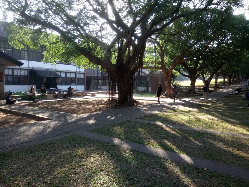 DSC_3282.JPG - 台中  東海大學校園巡禮