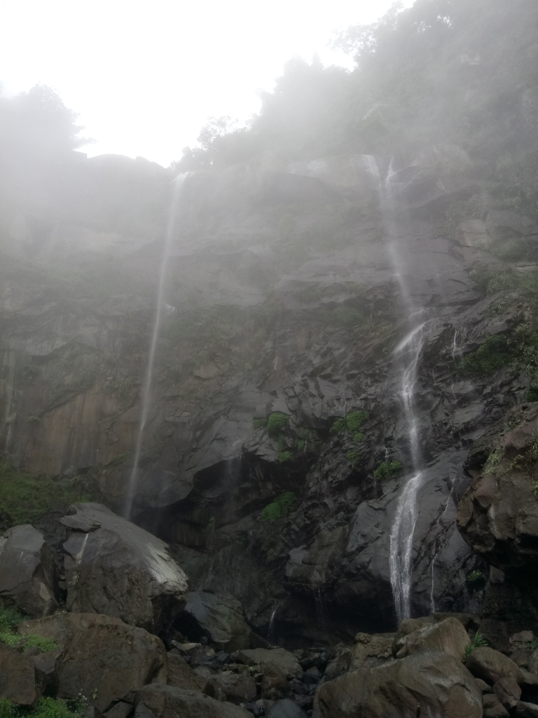 DSC_1173.JPG - 草嶺  蓬萊瀑布步道