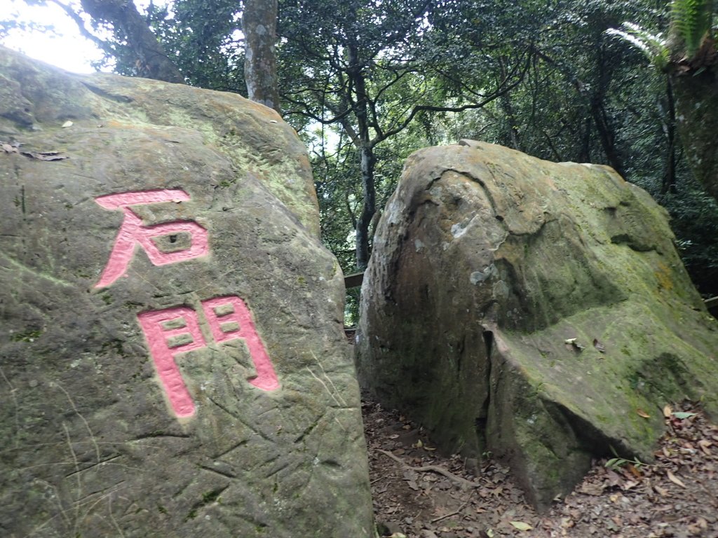 PA064407.JPG - 大湖  馬那邦山  (02)