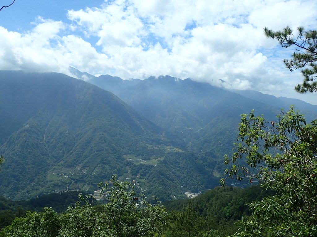 P5012329.JPG - 谷關七雄之  波津加山