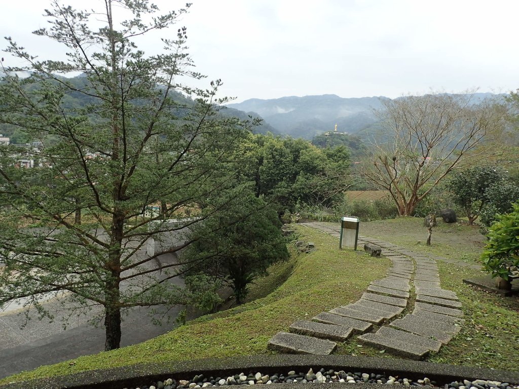 P3170349.JPG - 坪林  鬼子賴尖山