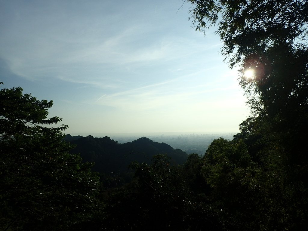 P1123656.JPG - 潭子 聚興山  新田登山步道