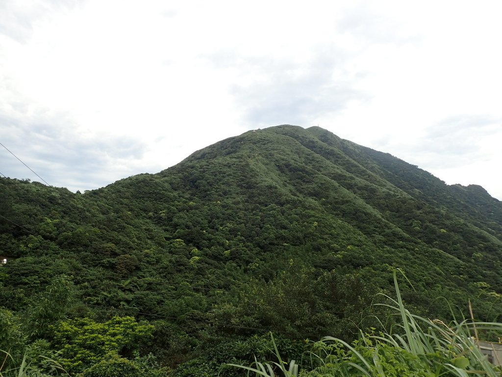 P6090128.JPG - 瑞芳  小金瓜山露頭