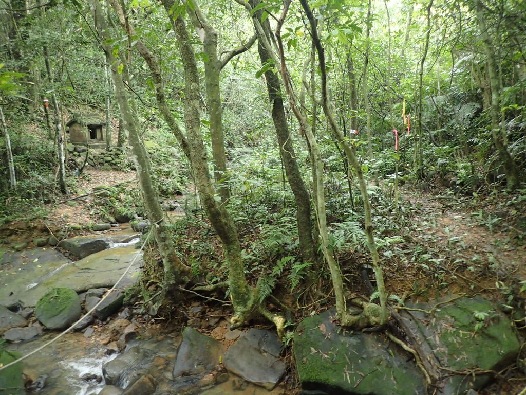 P3308240.JPG - 萬里  大路嶺古道行