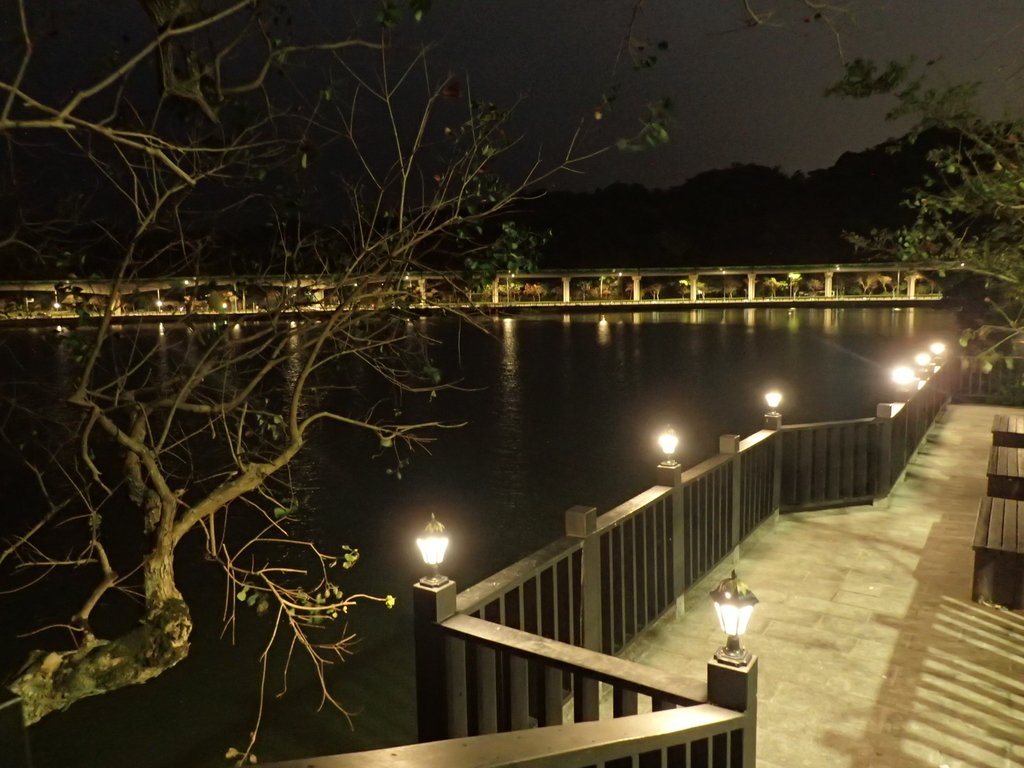 P3116970.JPG - 內湖  大湖公園之夜色